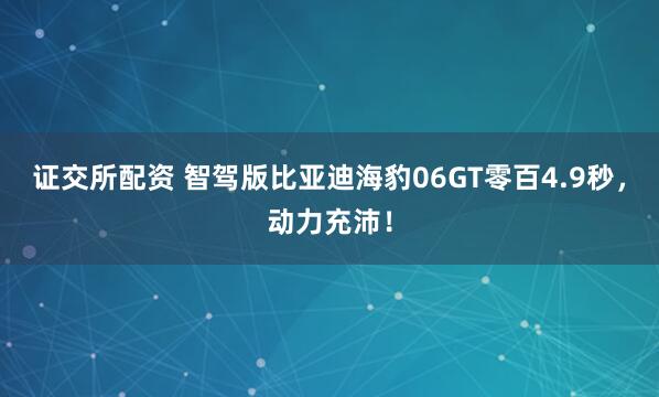 证交所配资 智驾版比亚迪海豹06GT零百4.9秒，动力充沛！