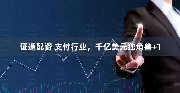 证通配资 支付行业，千亿美元独角兽+1